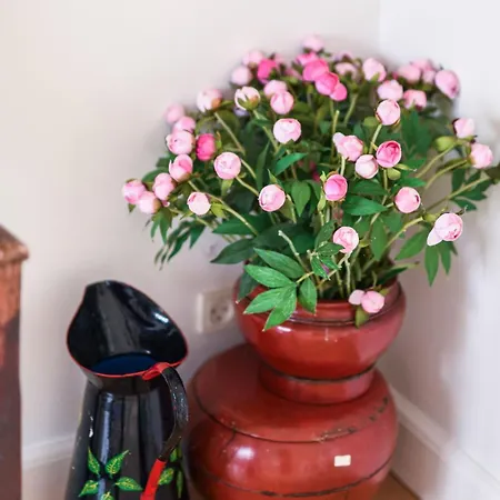 Copenhagen Denmark By The Sea Solrd Villa *