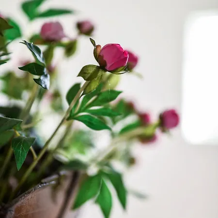 Copenhagen Denmark By The Sea Solrd * Solrod