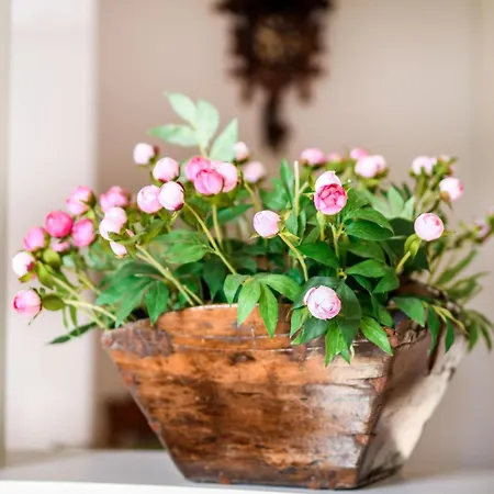 Villa Copenhagen Denmark By The Sea Solrd *