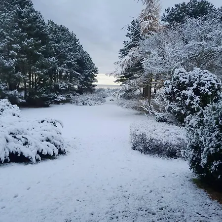 Villa Copenhagen Denmark By The Sea Solrd Solrod