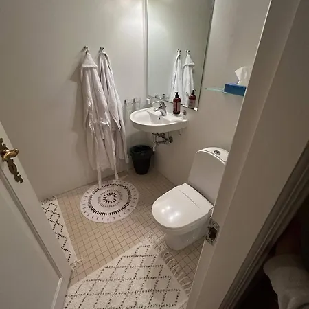 Copenhagen Denmark By The Sea Solrd Villa *