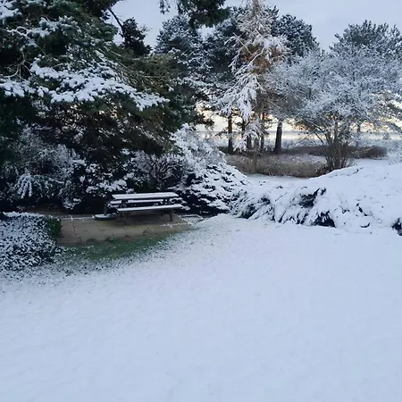 Copenhagen Denmark By The Sea Solrd * Solrod