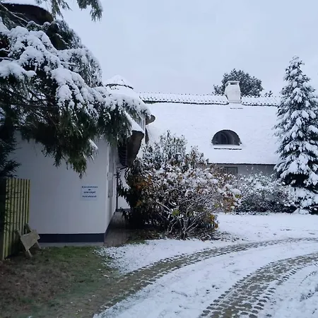 Villa Copenhagen Denmark By The Sea Solrd